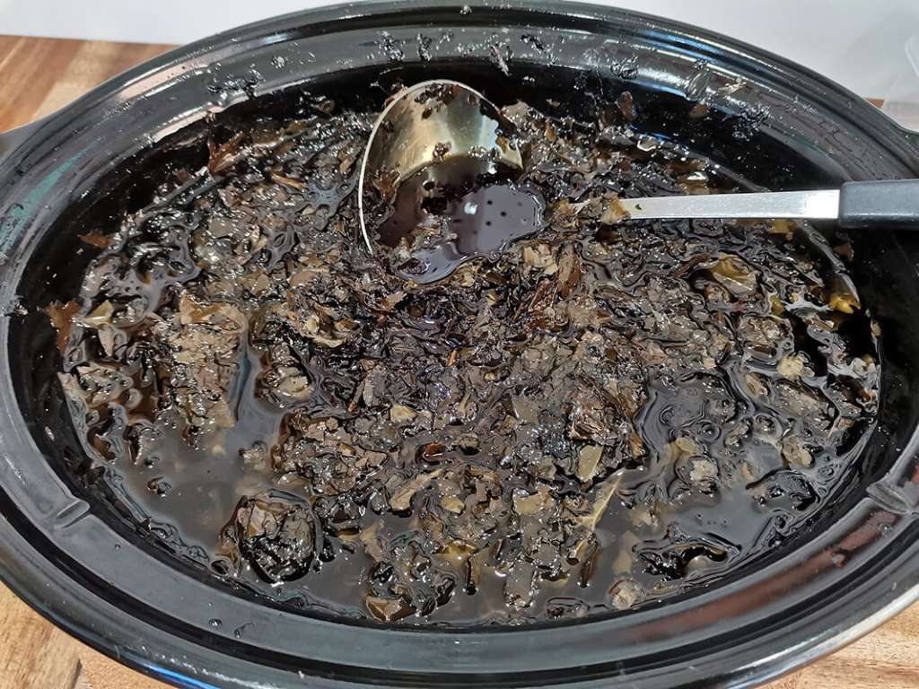 Kawakawa infused Oilve Oil ready to be strained Kawakawa-infused Olive Oil Ready to be Strained